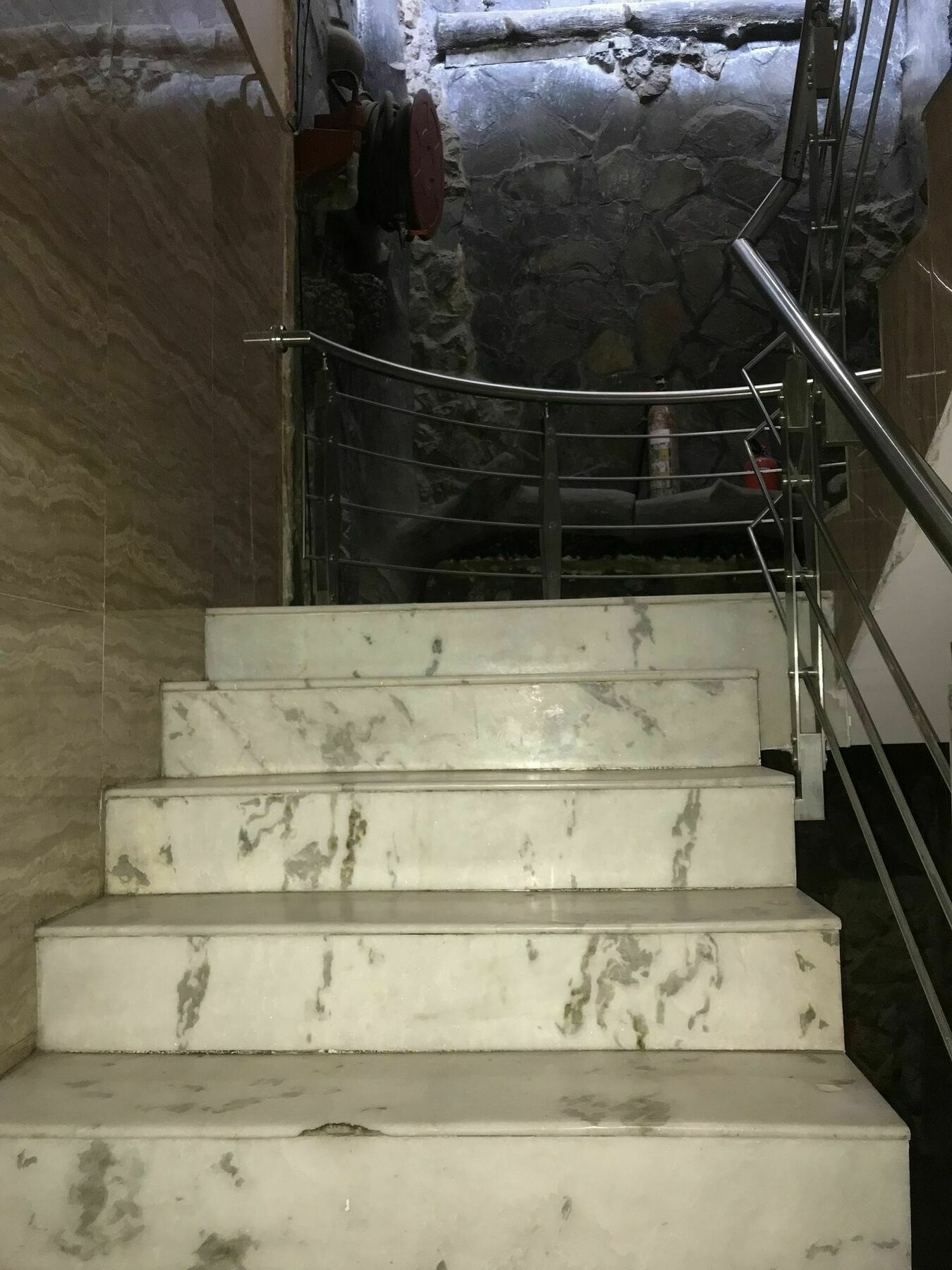辛格宫酒店 德里 外观 照片